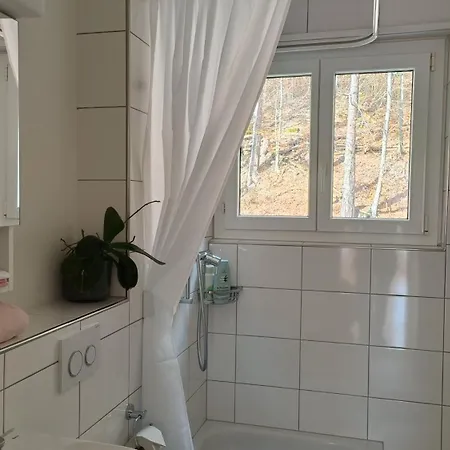 Apartamento Swisshomeliday *