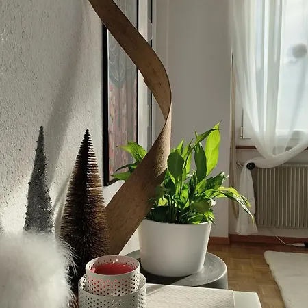Apartamento Swisshomeliday